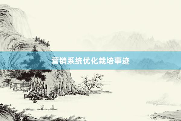 营销系统优化栽培事迹